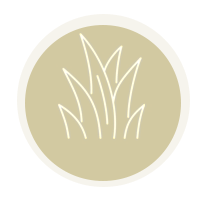 >Gazon synth&eacute;tique